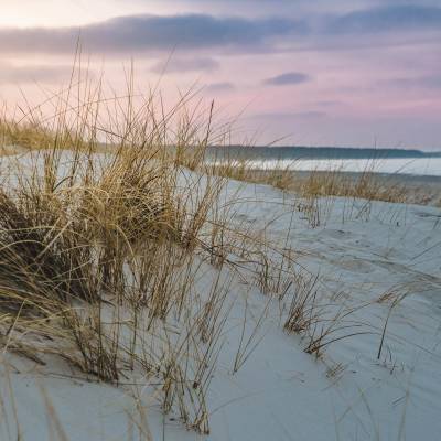 Zamień open space na open sea